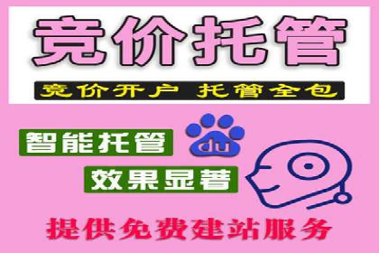 SEM推广案例：数据分析与优化