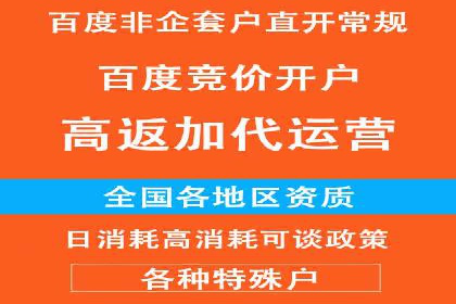 竞价推广成功案例解析